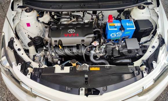 ซื้อ รถมือสอง Toyota Vios ขาว รถยนต์ ใน %{เมือง} ใน กรุงเทพมหานคร ซื้อ รถมือสอง Toyota Vios ขาว รถยนต์ ใน %{เมือง} ใน กรุงเทพมหานคร