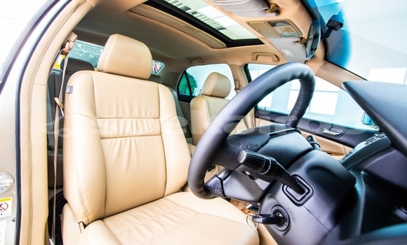 Buy Used Honda Accord Brown Car in Bangkok in Bangkok Buy Used Honda Accord Brown Car in Bangkok in Bangkok