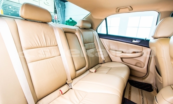 Buy Used Honda Accord Brown Car in Bangkok in Bangkok Buy Used Honda Accord Brown Car in Bangkok in Bangkok