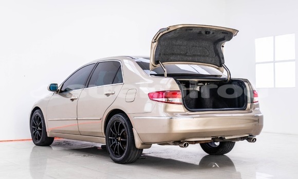 Buy Used Honda Accord Brown Car in Bangkok in Bangkok Buy Used Honda Accord Brown Car in Bangkok in Bangkok