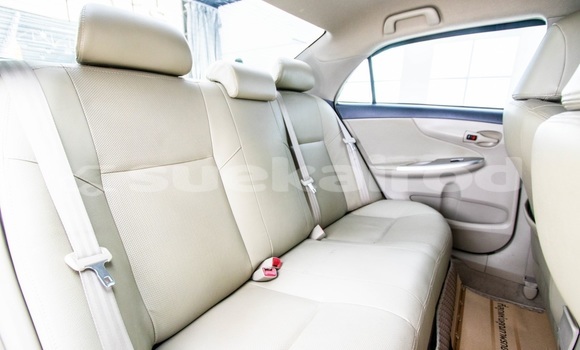 Buy Used Toyota Altis White Car in Bangkok in Bangkok Buy Used Toyota Altis White Car in Bangkok in Bangkok