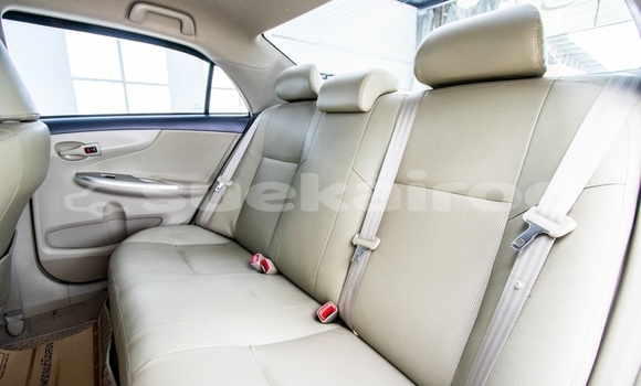 Buy Used Toyota Altis White Car in Bangkok in Bangkok Buy Used Toyota Altis White Car in Bangkok in Bangkok