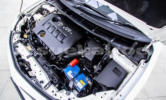 Buy Used Toyota Altis White Car in Bangkok in Bangkok Buy Used Toyota Altis White Car in Bangkok in Bangkok