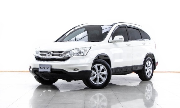 Buy Used Honda CR–V White Car in Bangkok in Bangkok