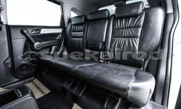 ซื้อ รถมือสอง Honda CR–V ขาว รถยนต์ ใน %{เมือง} ใน กรุงเทพมหานคร ซื้อ รถมือสอง Honda CR–V ขาว รถยนต์ ใน %{เมือง} ใน กรุงเทพมหานคร