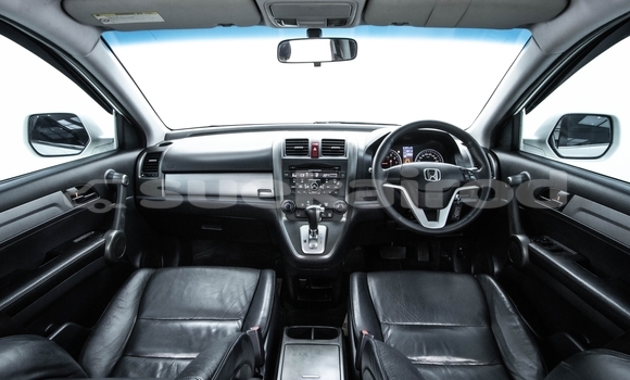 ซื้อ รถมือสอง Honda CR–V ขาว รถยนต์ ใน %{เมือง} ใน กรุงเทพมหานคร ซื้อ รถมือสอง Honda CR–V ขาว รถยนต์ ใน %{เมือง} ใน กรุงเทพมหานคร