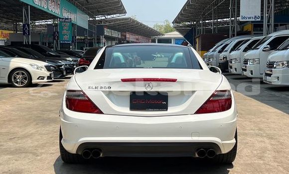 ซื้อ รถมือสอง Mercedes-Benz SLK-klasse ขาว รถยนต์ ใน %{เมือง} ใน กรุงเทพมหานคร ซื้อ รถมือสอง Mercedes-Benz SLK-klasse ขาว รถยนต์ ใน %{เมือง} ใน กรุงเทพมหานคร