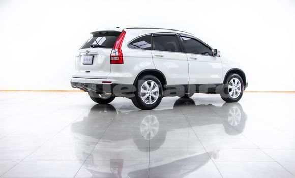 Buy Used Honda CR-V White Car in Bangkok in Bangkok Buy Used Honda CR-V White Car in Bangkok in Bangkok