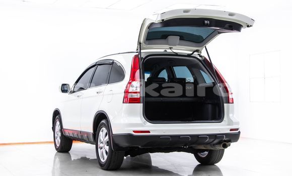 Buy Used Honda CR-V White Car in Bangkok in Bangkok Buy Used Honda CR-V White Car in Bangkok in Bangkok