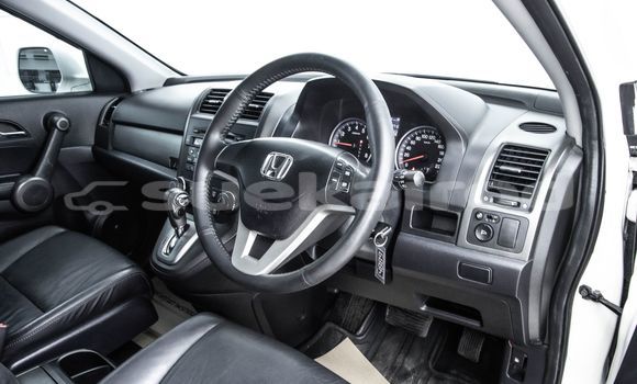 Buy Used Honda CR-V White Car in Bangkok in Bangkok Buy Used Honda CR-V White Car in Bangkok in Bangkok