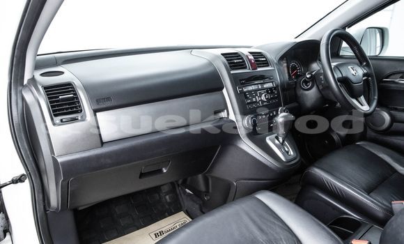 Buy Used Honda CR-V White Car in Bangkok in Bangkok Buy Used Honda CR-V White Car in Bangkok in Bangkok