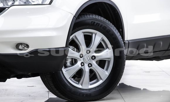 Buy Used Honda CR-V White Car in Bangkok in Bangkok Buy Used Honda CR-V White Car in Bangkok in Bangkok