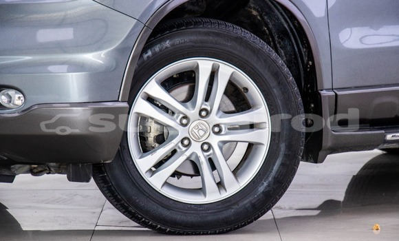 ซื้อ รถมือสอง Honda CR-V อื่น ๆ รถยนต์ ใน %{เมือง} ใน กรุงเทพมหานคร ซื้อ รถมือสอง Honda CR-V อื่น ๆ รถยนต์ ใน %{เมือง} ใน กรุงเทพมหานคร