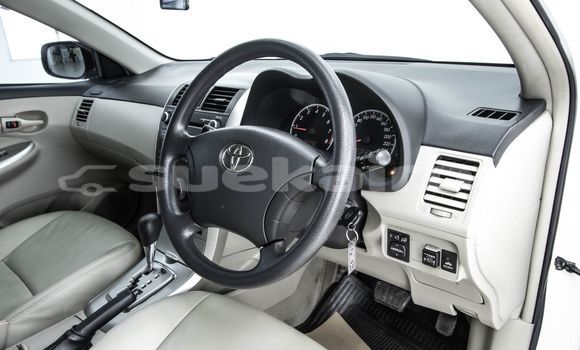 ซื้อ รถมือสอง Toyota Altis ขาว รถยนต์ ใน %{เมือง} ใน กรุงเทพมหานคร ซื้อ รถมือสอง Toyota Altis ขาว รถยนต์ ใน %{เมือง} ใน กรุงเทพมหานคร