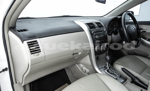 ซื้อ รถมือสอง Toyota Altis ขาว รถยนต์ ใน %{เมือง} ใน กรุงเทพมหานคร ซื้อ รถมือสอง Toyota Altis ขาว รถยนต์ ใน %{เมือง} ใน กรุงเทพมหานคร