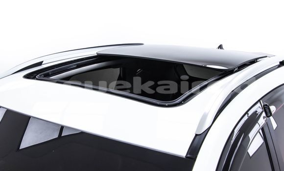 Buy Used MG ZS White Car in Bangkok in Bangkok Buy Used MG ZS White Car in Bangkok in Bangkok