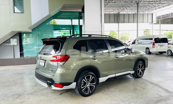 Buy Used Subaru Forester Green Car in Bangkok in Bangkok Buy Used Subaru Forester Green Car in Bangkok in Bangkok