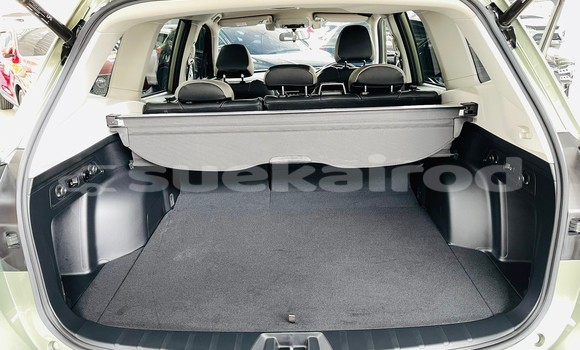 Buy Used Subaru Forester Green Car in Bangkok in Bangkok Buy Used Subaru Forester Green Car in Bangkok in Bangkok