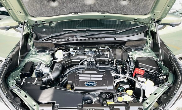 Buy Used Subaru Forester Green Car in Bangkok in Bangkok Buy Used Subaru Forester Green Car in Bangkok in Bangkok