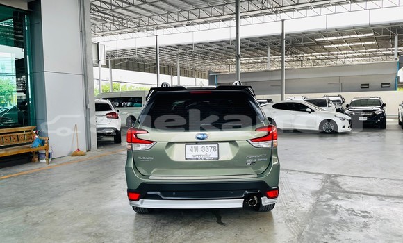 Buy Used Subaru Forester Green Car in Bangkok in Bangkok Buy Used Subaru Forester Green Car in Bangkok in Bangkok