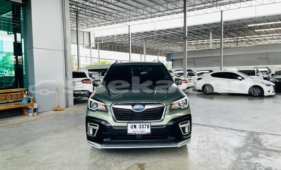 Buy Used Subaru Forester Green Car in Bangkok in Bangkok Buy Used Subaru Forester Green Car in Bangkok in Bangkok