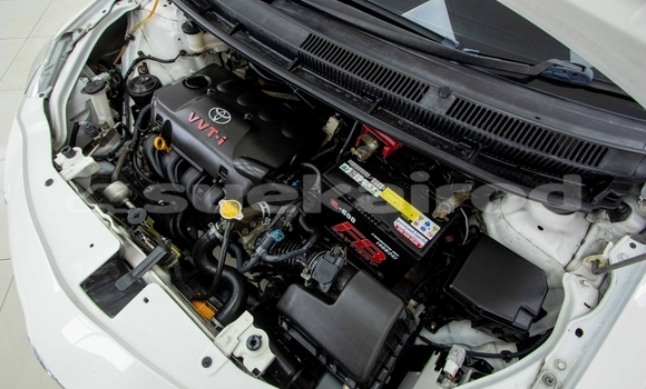 Buy Used Toyota Vios White Car in Bangkok in Bangkok Buy Used Toyota Vios White Car in Bangkok in Bangkok