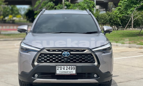 Buy Used Toyota Corolla Cross Other Car in Bangkok in Bangkok Buy Used Toyota Corolla Cross Other Car in Bangkok in Bangkok