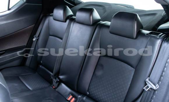 Buy Used Toyota C-HR Other Car in Bangkok in Bangkok Buy Used Toyota C-HR Other Car in Bangkok in Bangkok