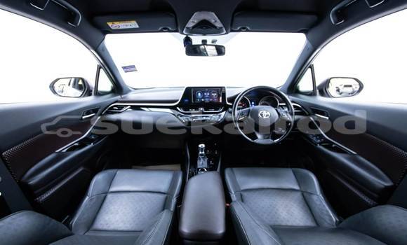Buy Used Toyota C-HR Other Car in Bangkok in Bangkok Buy Used Toyota C-HR Other Car in Bangkok in Bangkok