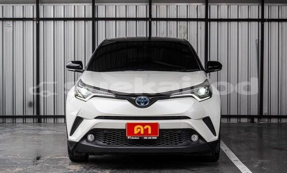 Buy Used Toyota C-HR White Car in Bangkok in Bangkok Buy Used Toyota C-HR White Car in Bangkok in Bangkok