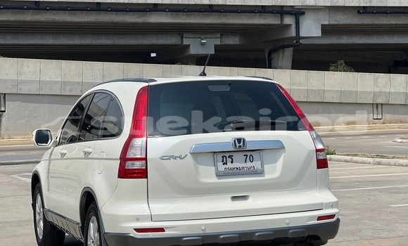 ซื้อ รถมือสอง Honda CR-V ขาว รถยนต์ ใน %{เมือง} ใน กรุงเทพมหานคร ซื้อ รถมือสอง Honda CR-V ขาว รถยนต์ ใน %{เมือง} ใน กรุงเทพมหานคร