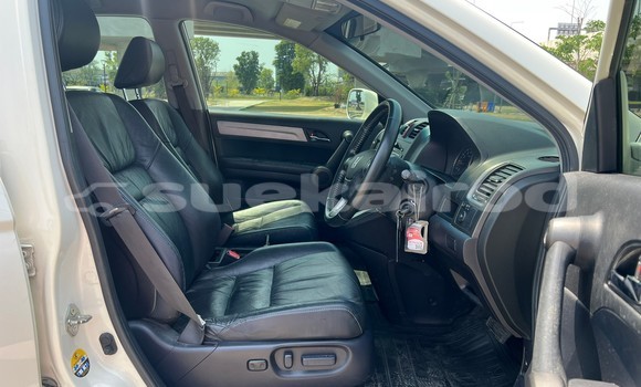 ซื้อ รถมือสอง Honda CR-V ขาว รถยนต์ ใน %{เมือง} ใน กรุงเทพมหานคร ซื้อ รถมือสอง Honda CR-V ขาว รถยนต์ ใน %{เมือง} ใน กรุงเทพมหานคร