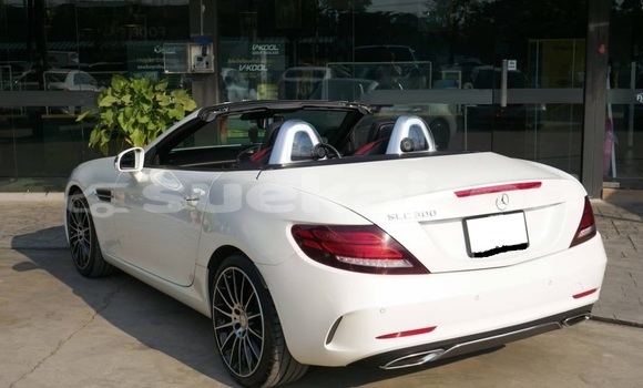 ซื้อ รถมือสอง Mercedes-Benz SLC-klasse ขาว รถยนต์ ใน %{เมือง} ใน กรุงเทพมหานคร ซื้อ รถมือสอง Mercedes-Benz SLC-klasse ขาว รถยนต์ ใน %{เมือง} ใน กรุงเทพมหานคร