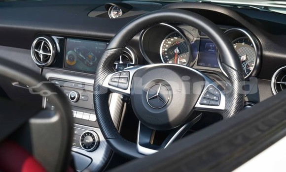 ซื้อ รถมือสอง Mercedes-Benz SLC-klasse ขาว รถยนต์ ใน %{เมือง} ใน กรุงเทพมหานคร ซื้อ รถมือสอง Mercedes-Benz SLC-klasse ขาว รถยนต์ ใน %{เมือง} ใน กรุงเทพมหานคร