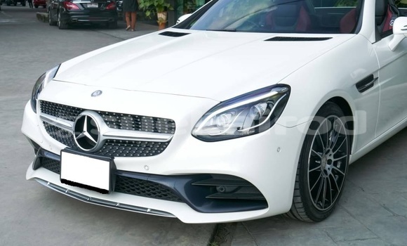 ซื้อ รถมือสอง Mercedes-Benz SLC-klasse ขาว รถยนต์ ใน %{เมือง} ใน กรุงเทพมหานคร ซื้อ รถมือสอง Mercedes-Benz SLC-klasse ขาว รถยนต์ ใน %{เมือง} ใน กรุงเทพมหานคร