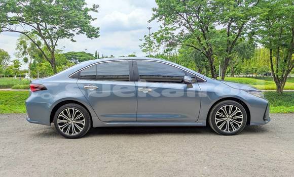 ซื้อ รถมือสอง Toyota Altis อื่น ๆ รถยนต์ ใน %{เมือง} ใน กรุงเทพมหานคร ซื้อ รถมือสอง Toyota Altis อื่น ๆ รถยนต์ ใน %{เมือง} ใน กรุงเทพมหานคร