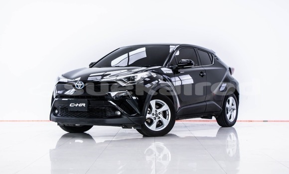Buy Used Toyota C-HR Black Car in Bangkok in Bangkok