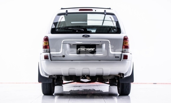 ซื้อ รถมือสอง Ford Escape อื่น ๆ รถยนต์ ใน %{เมือง} ใน กรุงเทพมหานคร ซื้อ รถมือสอง Ford Escape อื่น ๆ รถยนต์ ใน %{เมือง} ใน กรุงเทพมหานคร