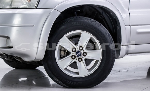 ซื้อ รถมือสอง Ford Escape อื่น ๆ รถยนต์ ใน %{เมือง} ใน กรุงเทพมหานคร ซื้อ รถมือสอง Ford Escape อื่น ๆ รถยนต์ ใน %{เมือง} ใน กรุงเทพมหานคร