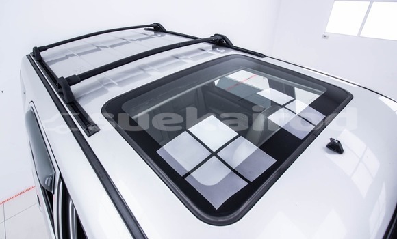 ซื้อ รถมือสอง Ford Escape อื่น ๆ รถยนต์ ใน %{เมือง} ใน กรุงเทพมหานคร ซื้อ รถมือสอง Ford Escape อื่น ๆ รถยนต์ ใน %{เมือง} ใน กรุงเทพมหานคร