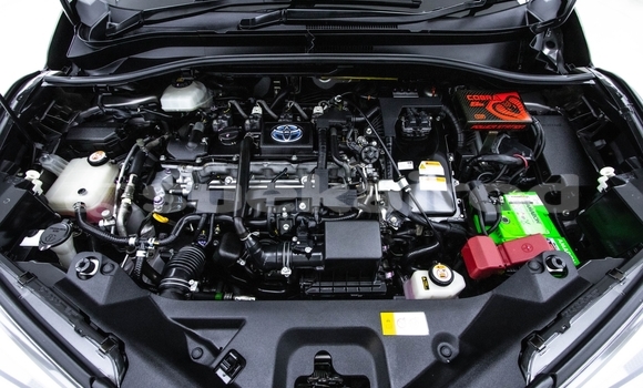 ซื้อ รถมือสอง Toyota C-HR อื่น ๆ รถยนต์ ใน %{เมือง} ใน กรุงเทพมหานคร ซื้อ รถมือสอง Toyota C-HR อื่น ๆ รถยนต์ ใน %{เมือง} ใน กรุงเทพมหานคร