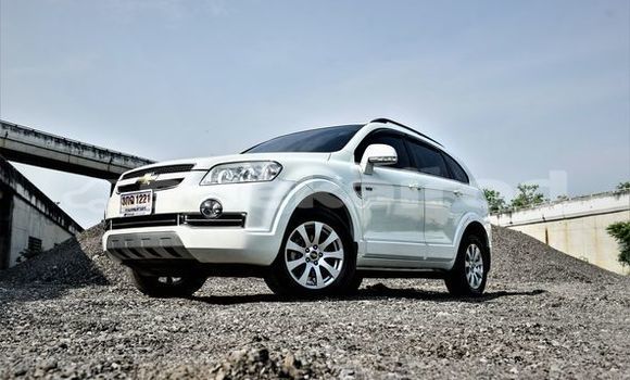 ซื้อ รถมือสอง Chevrolet Captiva ขาว รถยนต์ ใน %{เมือง} ใน กรุงเทพมหานคร ซื้อ รถมือสอง Chevrolet Captiva ขาว รถยนต์ ใน %{เมือง} ใน กรุงเทพมหานคร