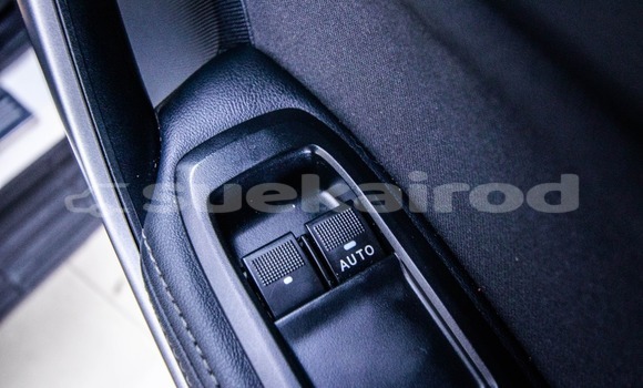 ซื้อ รถมือสอง Ford Ranger ขาว รถยนต์ ใน %{เมือง} ใน กรุงเทพมหานคร ซื้อ รถมือสอง Ford Ranger ขาว รถยนต์ ใน %{เมือง} ใน กรุงเทพมหานคร