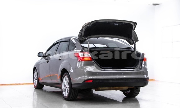 Buy Used Ford Focus Brown Car in Bangkok in Bangkok Buy Used Ford Focus Brown Car in Bangkok in Bangkok