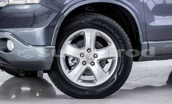 Buy Used Honda CR-V Other Car in Bangkok in Bangkok Buy Used Honda CR-V Other Car in Bangkok in Bangkok