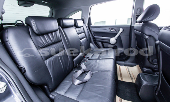 Buy Used Honda CR-V Other Car in Bangkok in Bangkok Buy Used Honda CR-V Other Car in Bangkok in Bangkok