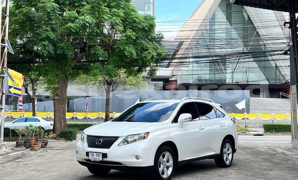 Buy Used Lexus RX 330 White Car in Bangkok in Bangkok