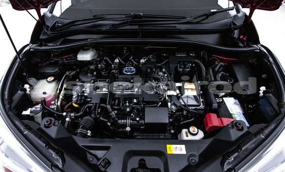 ซื้อ รถมือสอง Toyota C-HR สีแดง รถยนต์ ใน %{เมือง} ใน กรุงเทพมหานคร ซื้อ รถมือสอง Toyota C-HR สีแดง รถยนต์ ใน %{เมือง} ใน กรุงเทพมหานคร