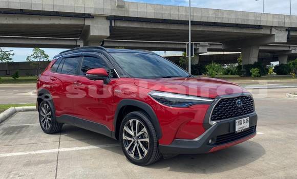 Buy Used Toyota Corolla Cross Red Car in Bangkok in Bangkok Buy Used Toyota Corolla Cross Red Car in Bangkok in Bangkok