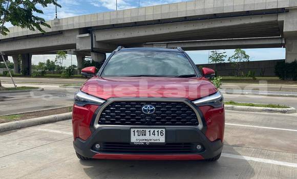 Buy Used Toyota Corolla Cross Red Car in Bangkok in Bangkok Buy Used Toyota Corolla Cross Red Car in Bangkok in Bangkok
